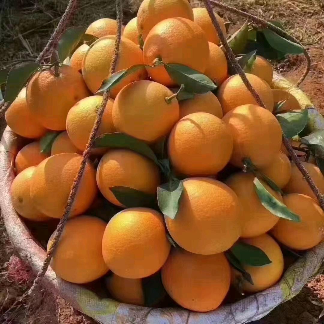 伤不起