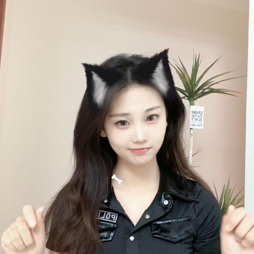 新能源货车租赁 小依