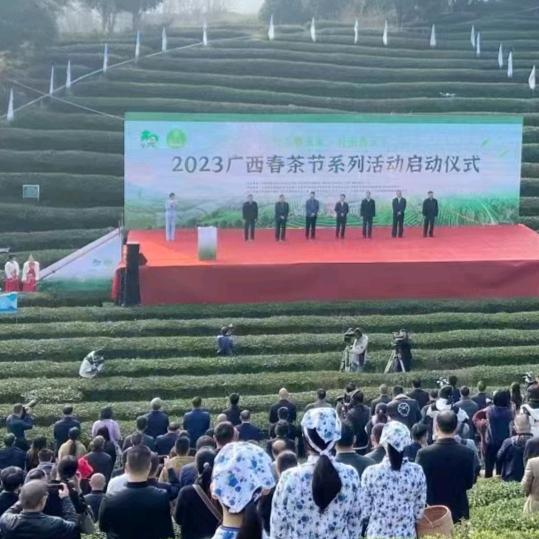 开心过好每一天🌷