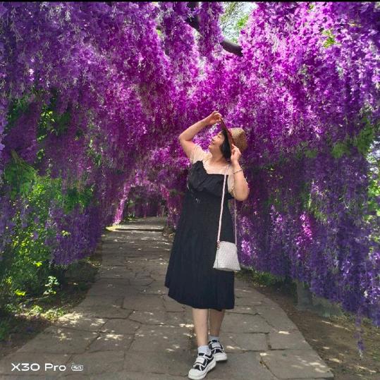 苹果