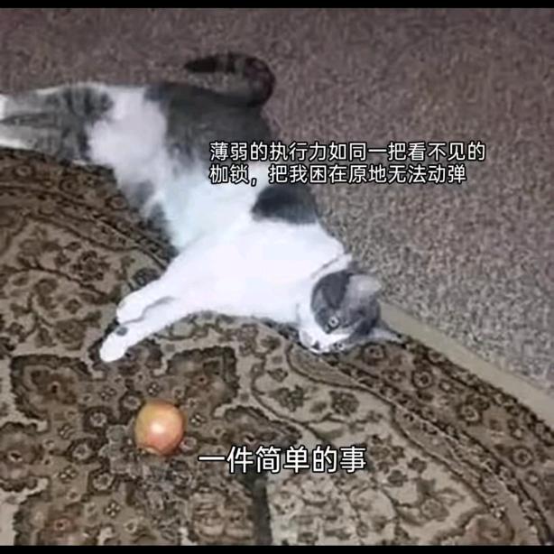 我在花屋敷等你~