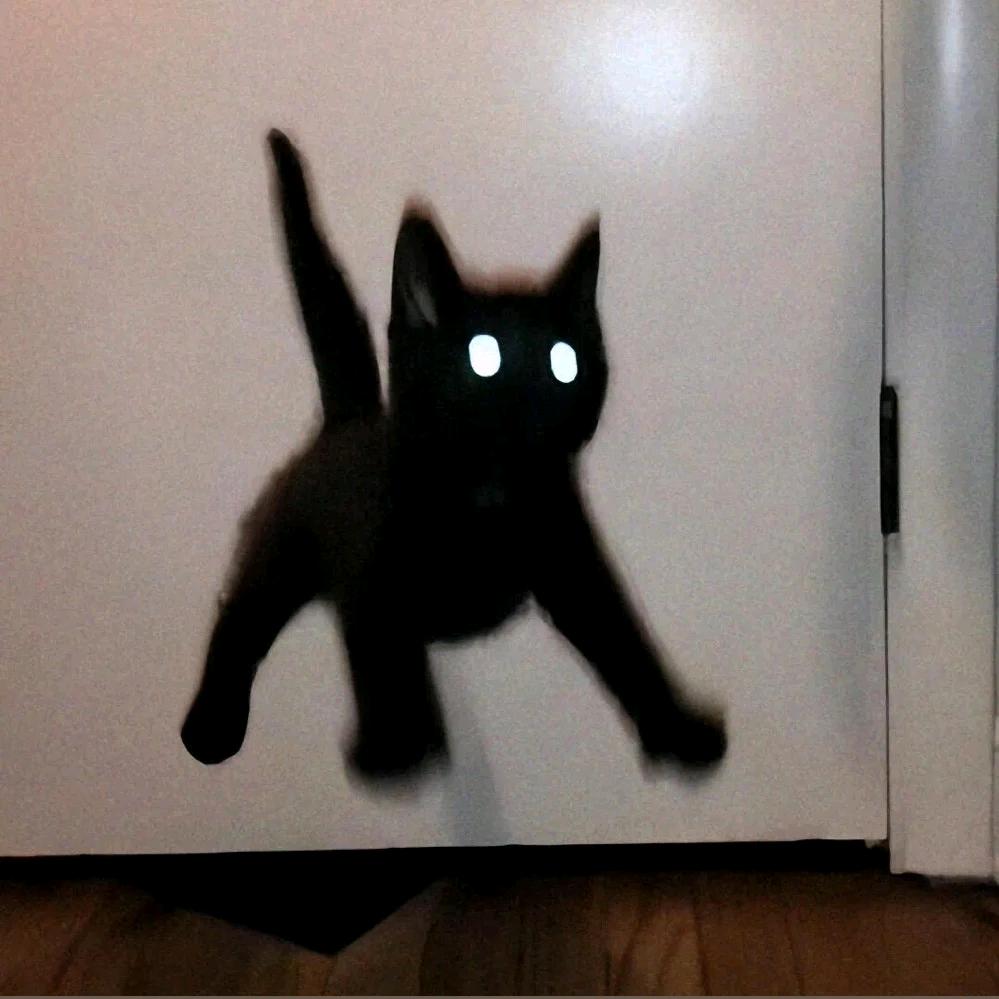 黑猫爱做饭