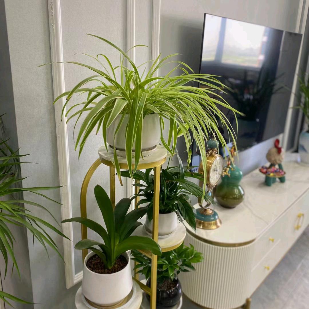 @执笔〆写伤痛