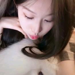 菇德猫柠.