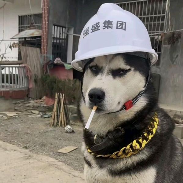我就是女王