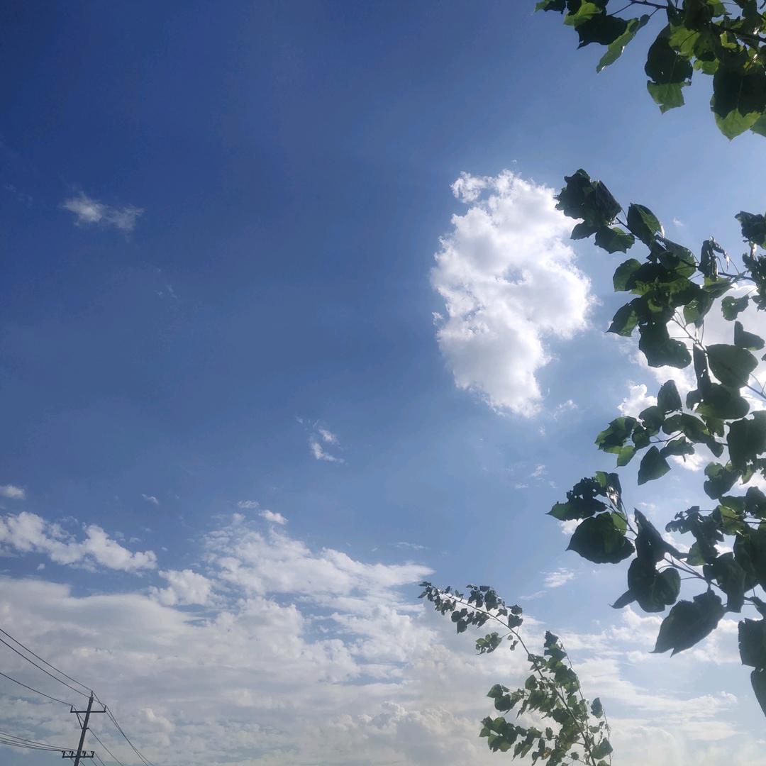 南风知我意