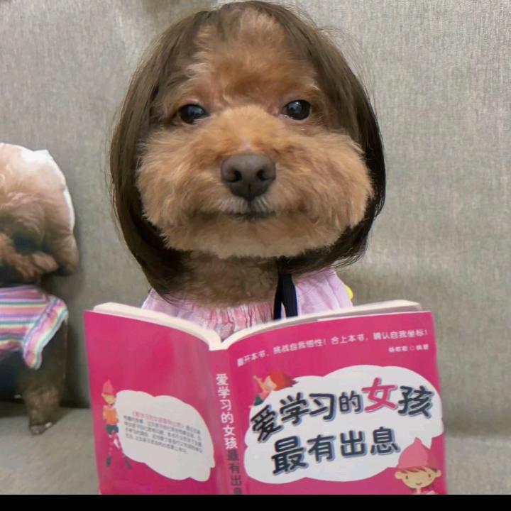 小尼耶