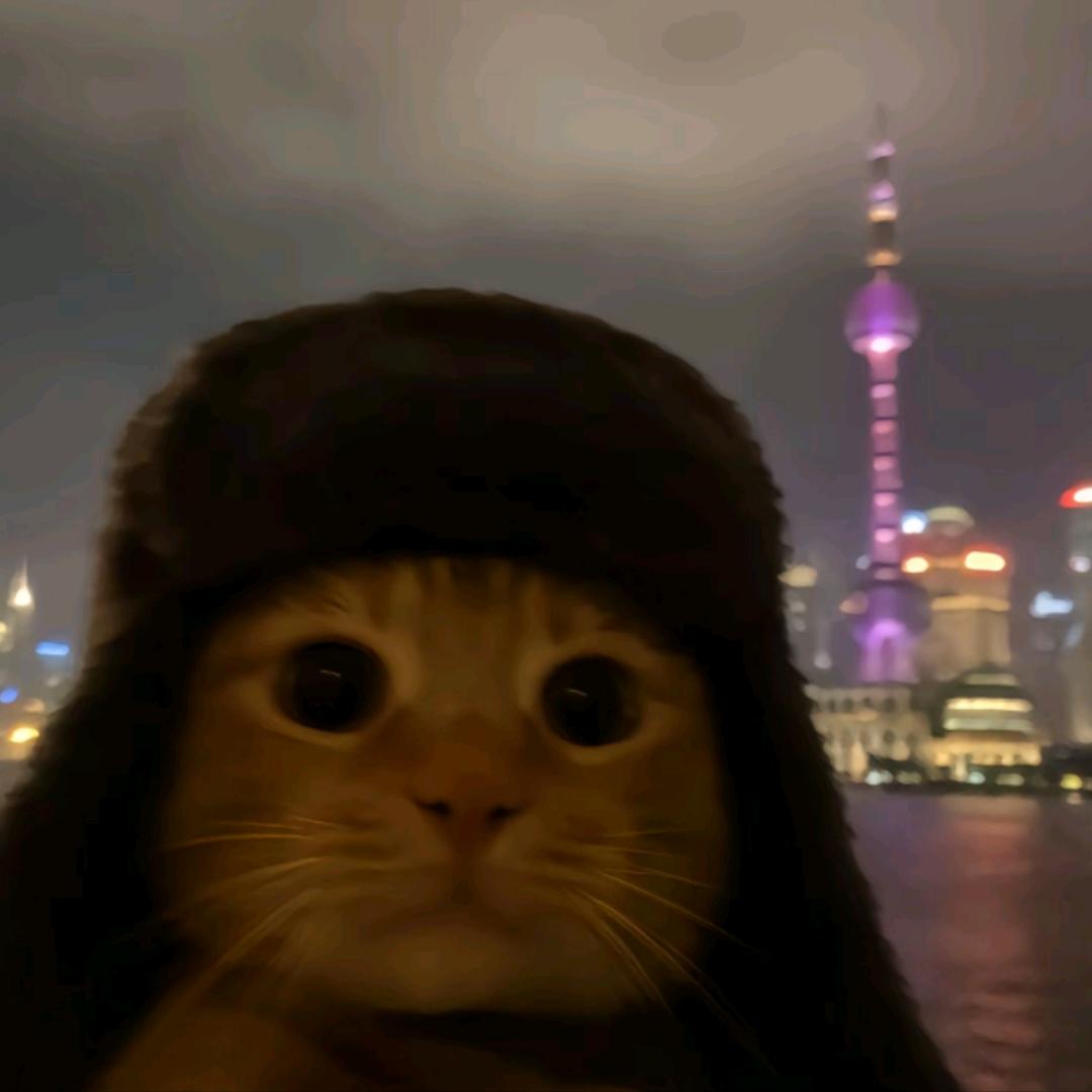 花开半夏9