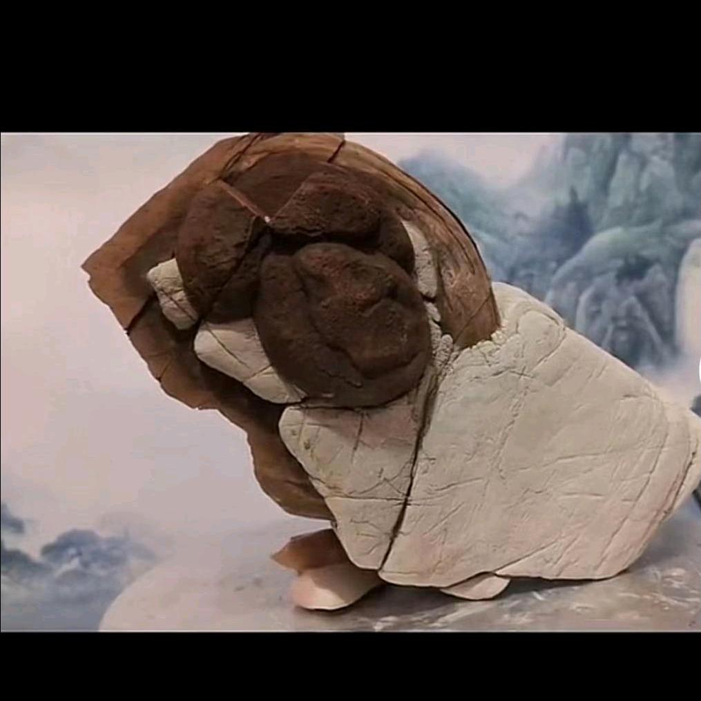 老杨。