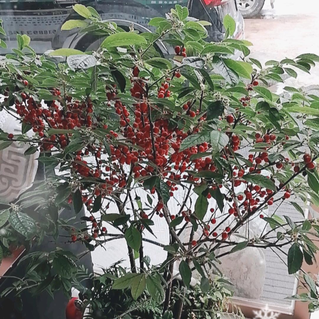 镇雄毅业理疗馆