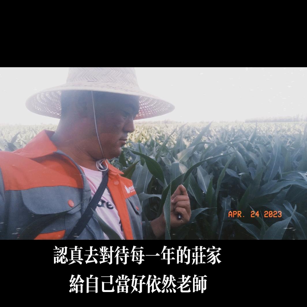 依然老师Surprise