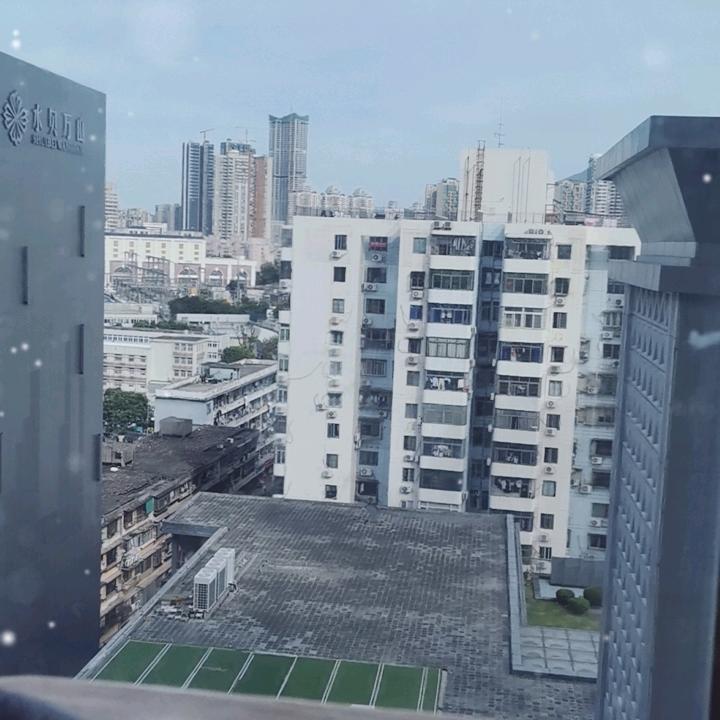 老六在水贝
