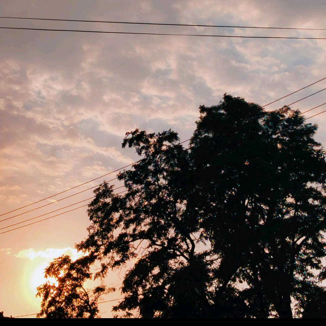 80后守摊老阿姨（贾村烧饼）