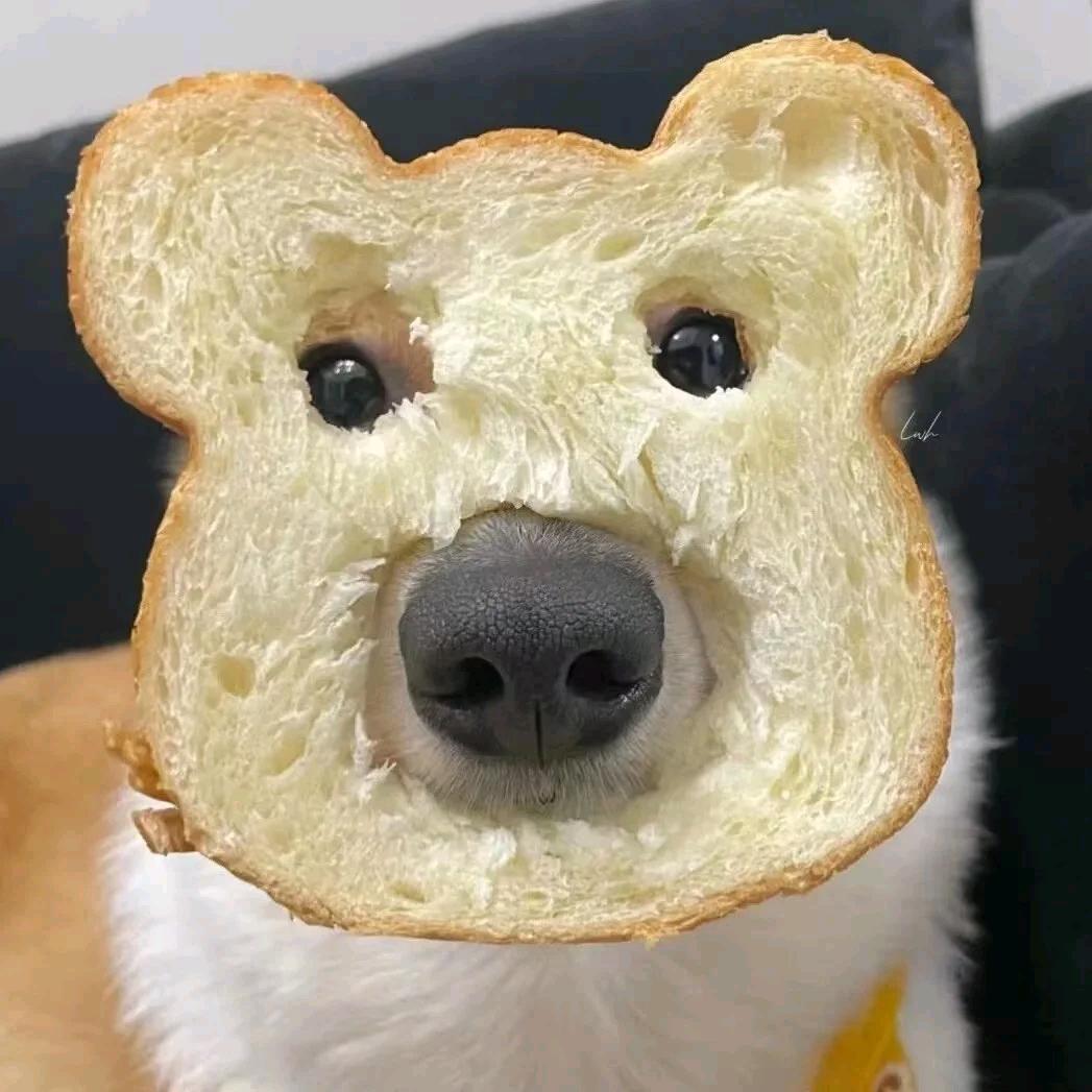 叮当711