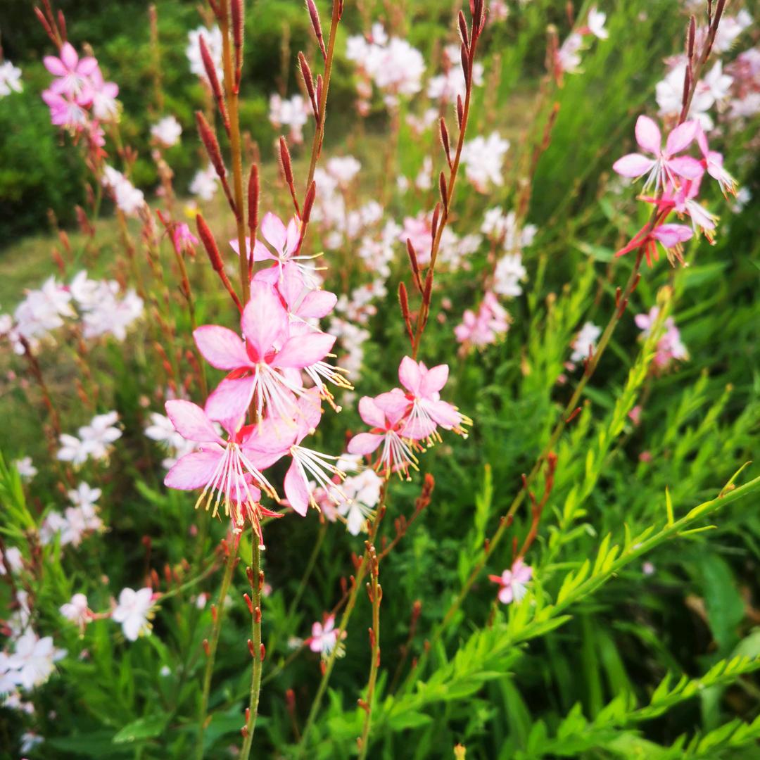 ♥一路♥向前❤️