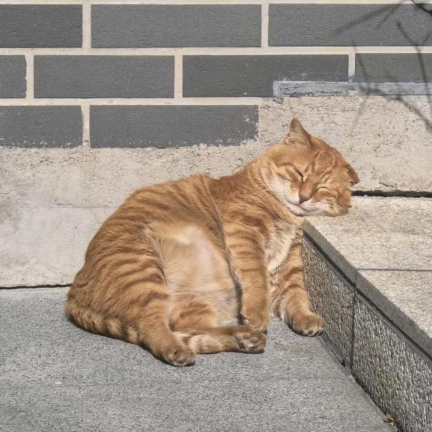 快跑不跑