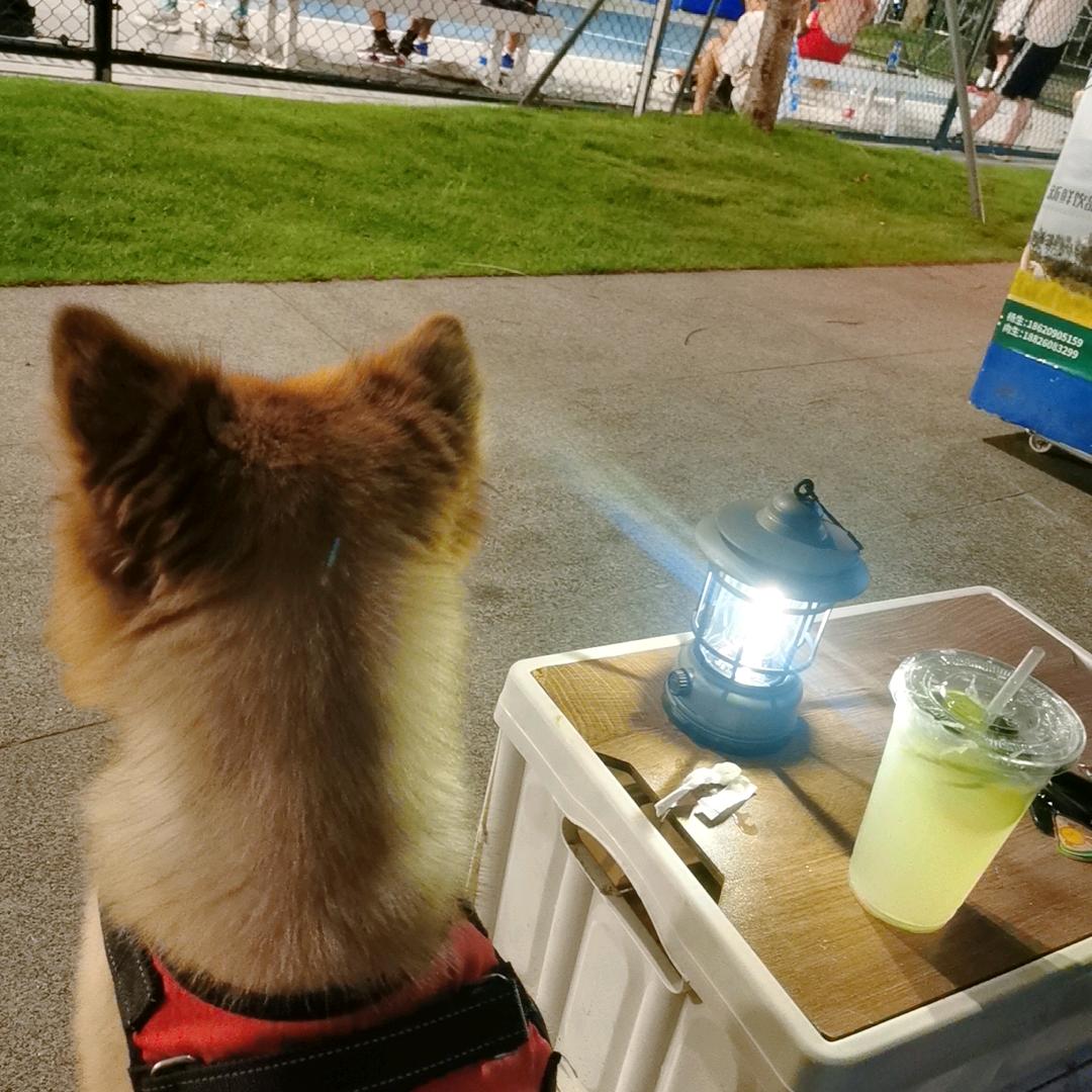 w傻了吧