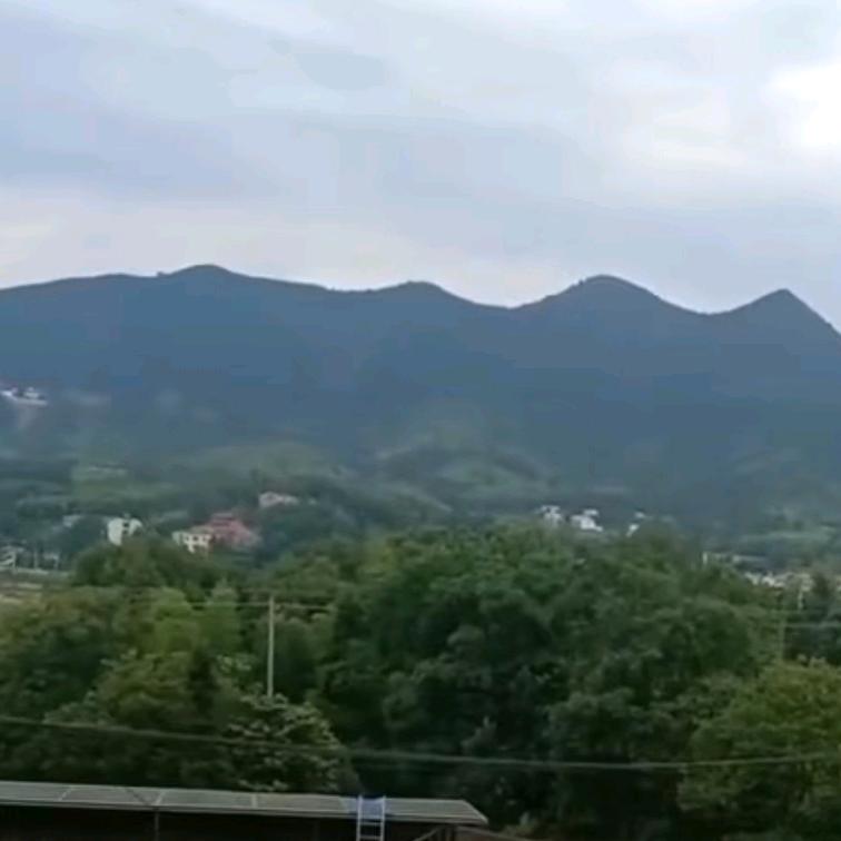 忠
