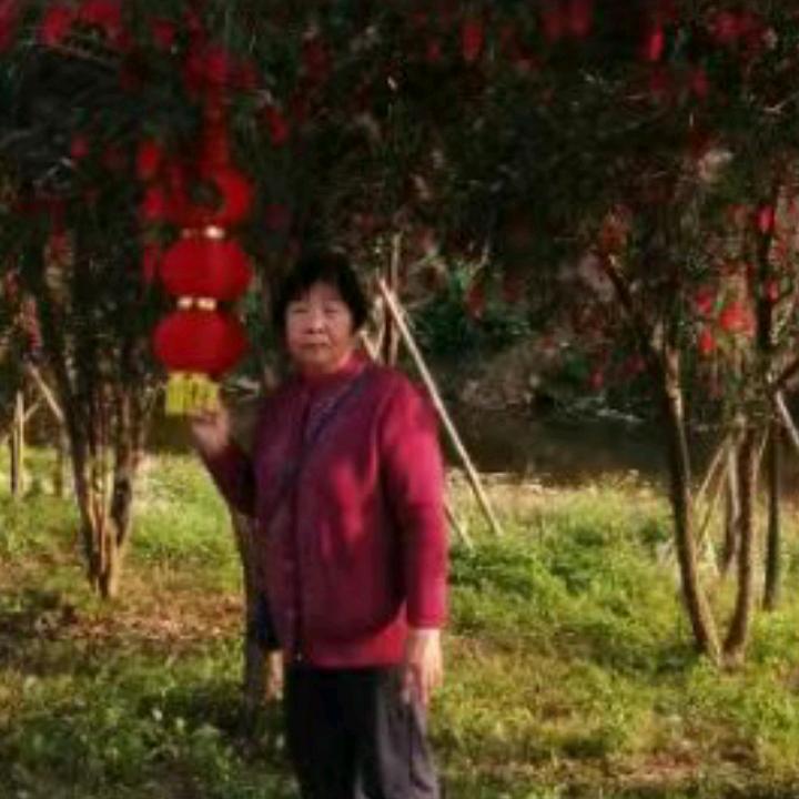 💅梁姨💪