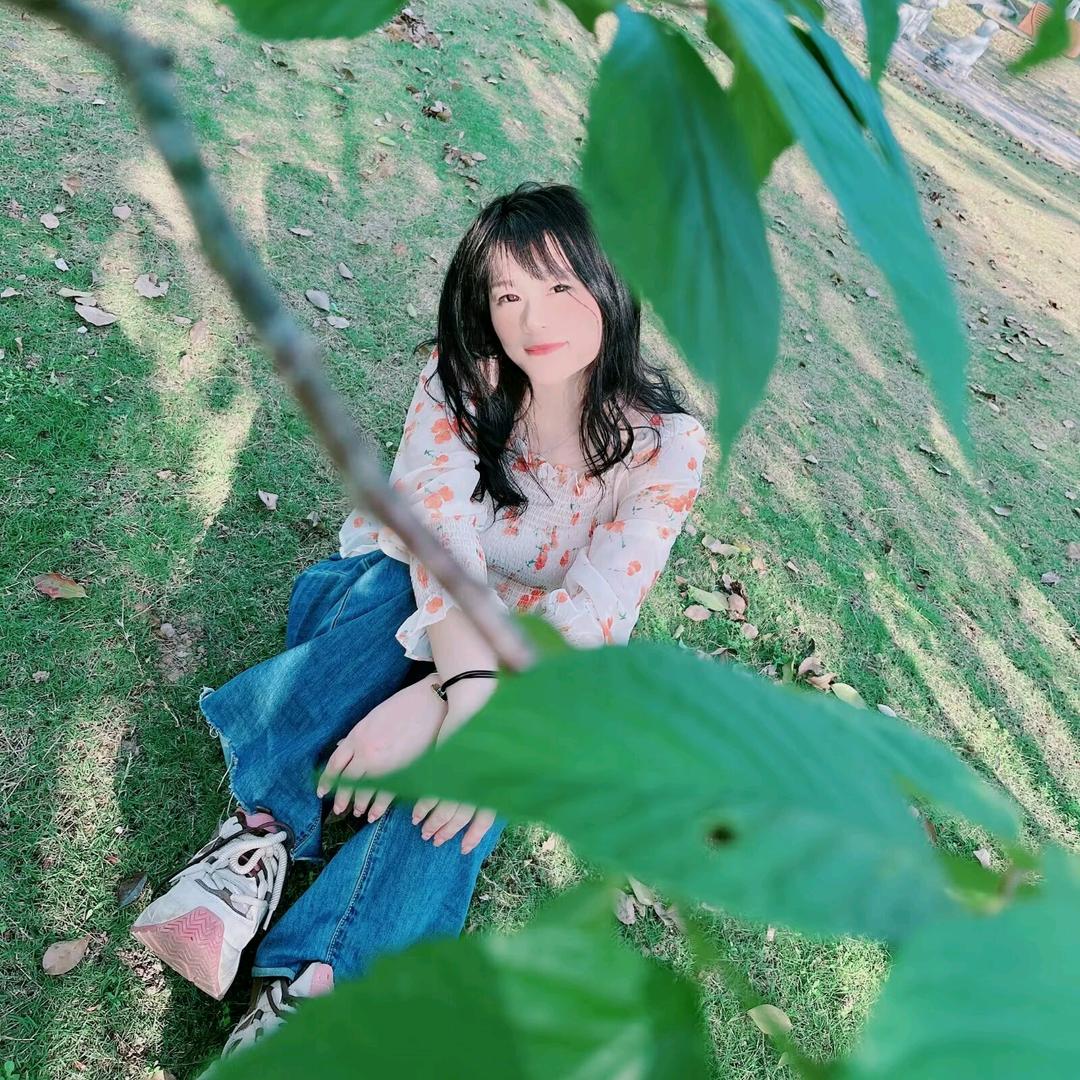 小凤