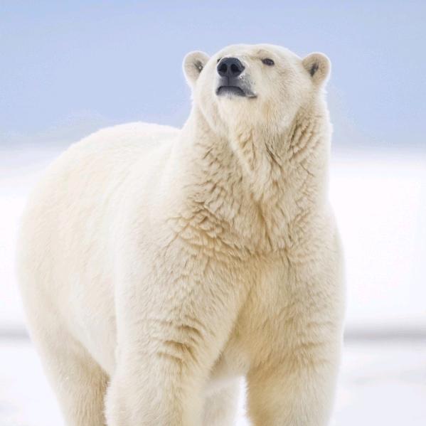 一个人单生：😆