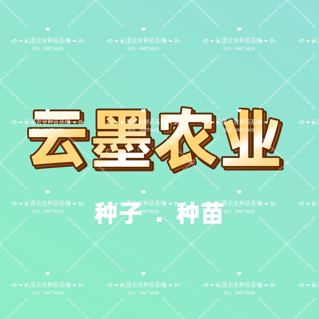 云墨农业种苗基地