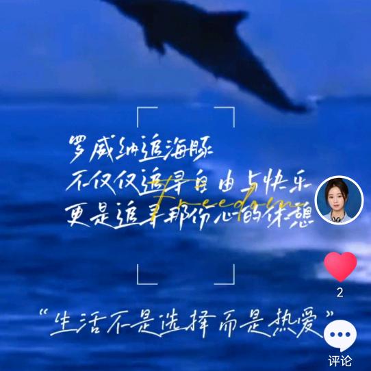 自然之旅