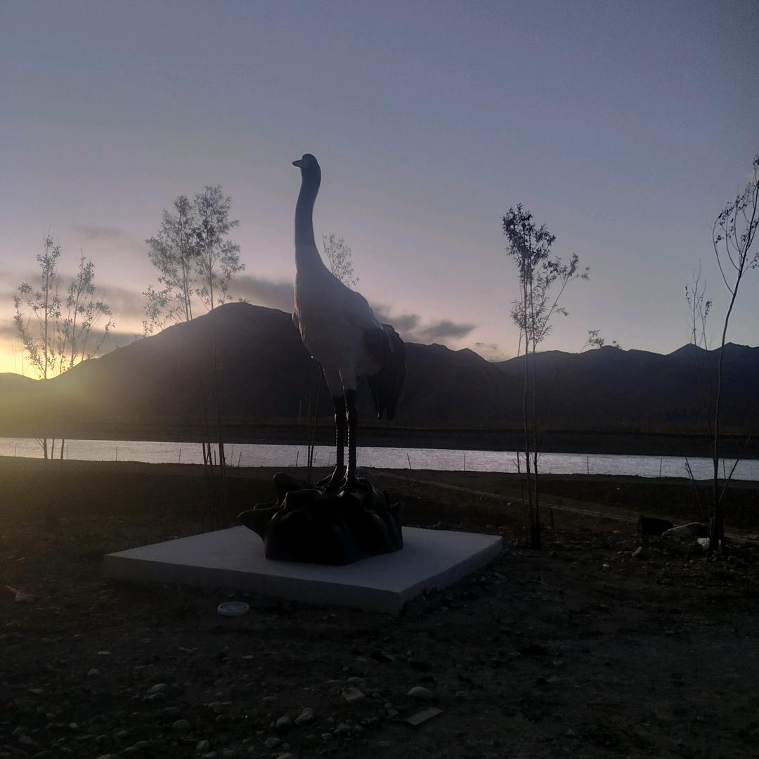 开心果