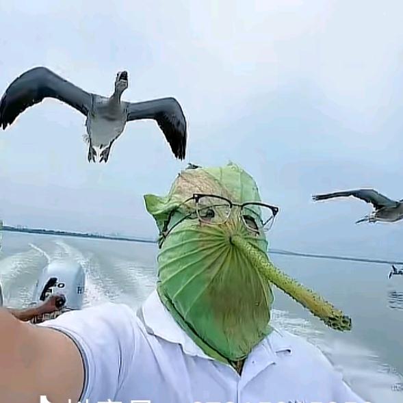 一身布衣，一身戎装