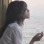 @风的追求