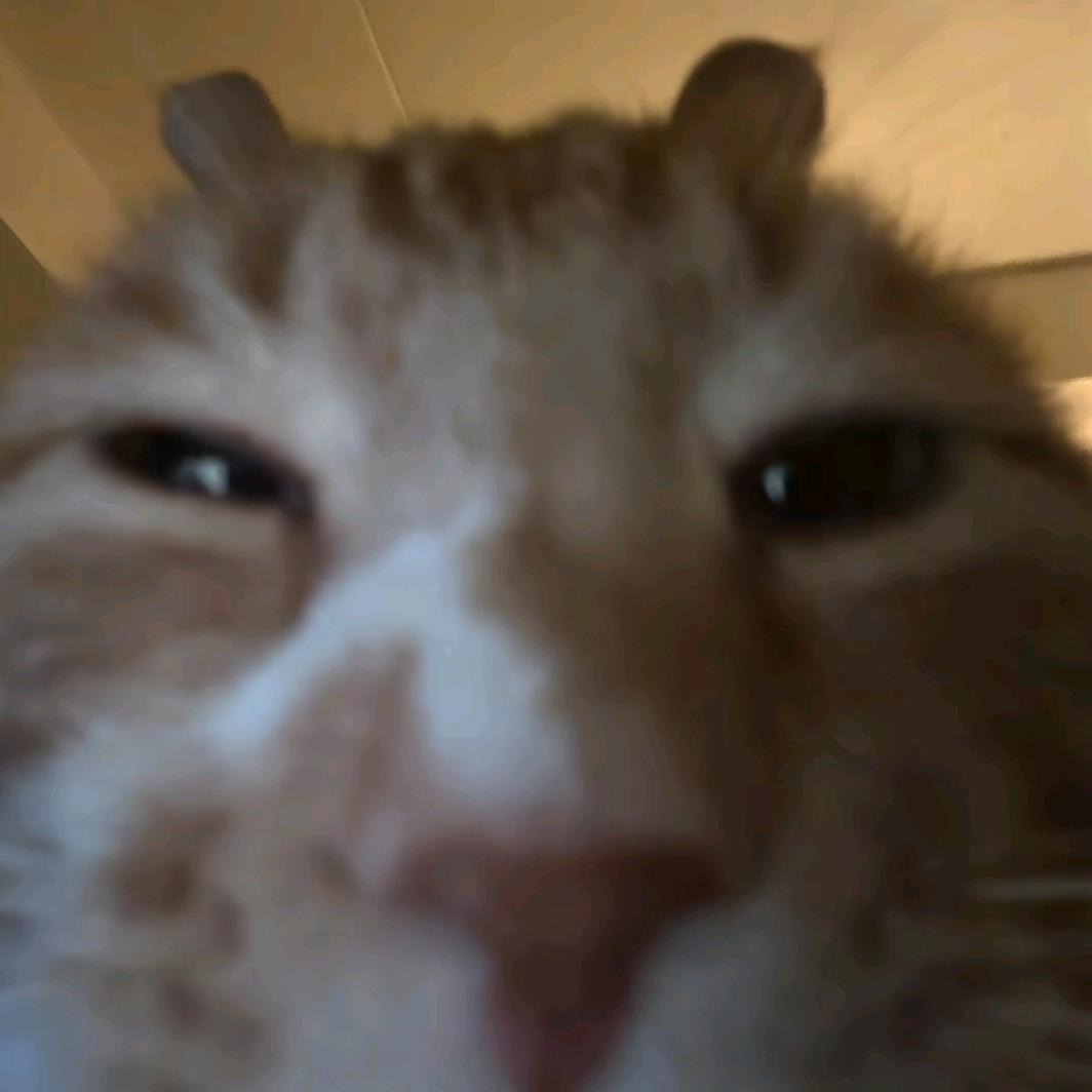 左眼看右眼☃ᐝ