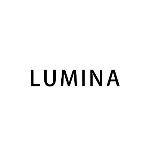 ZAGA  LUMINA 形象设计