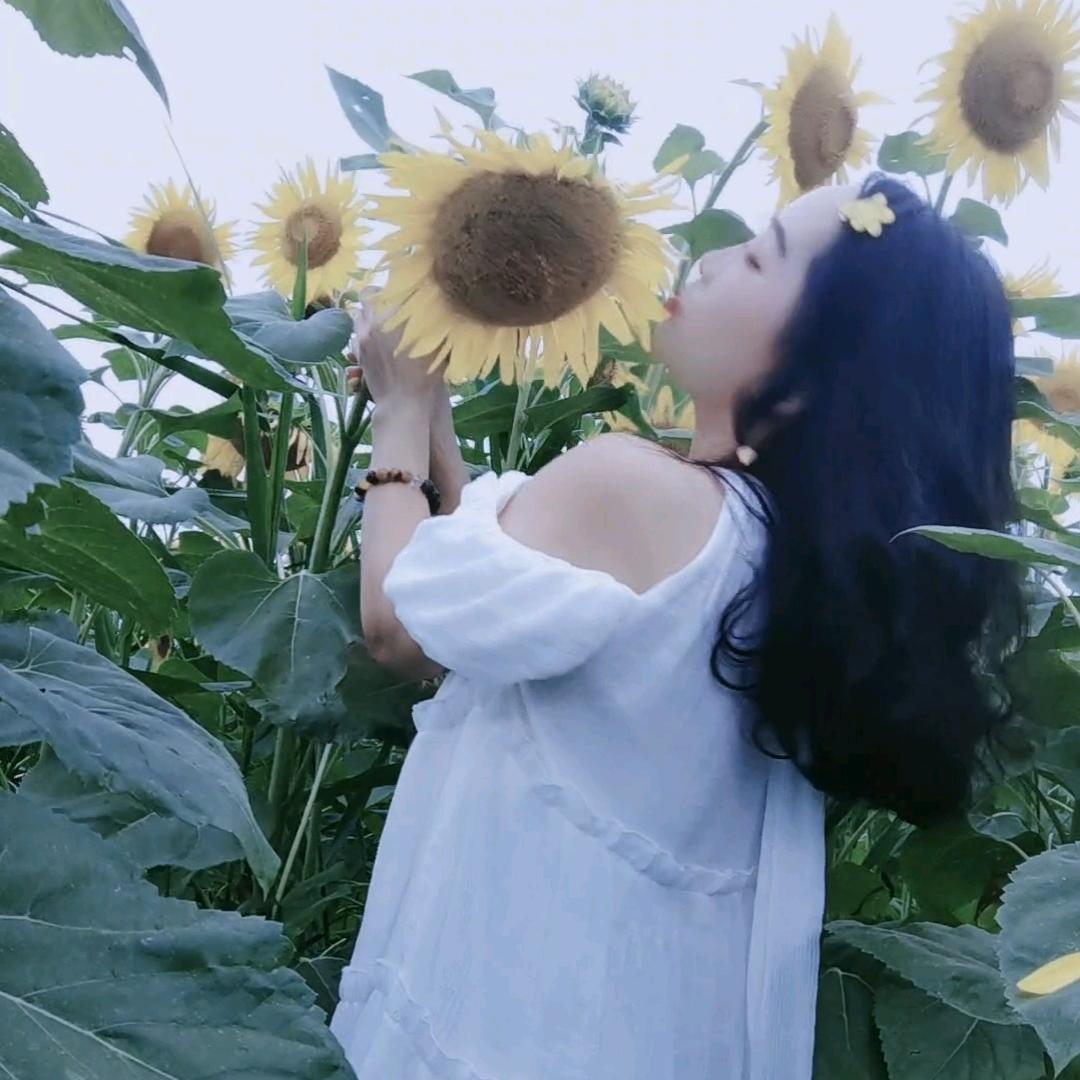 蓉儿