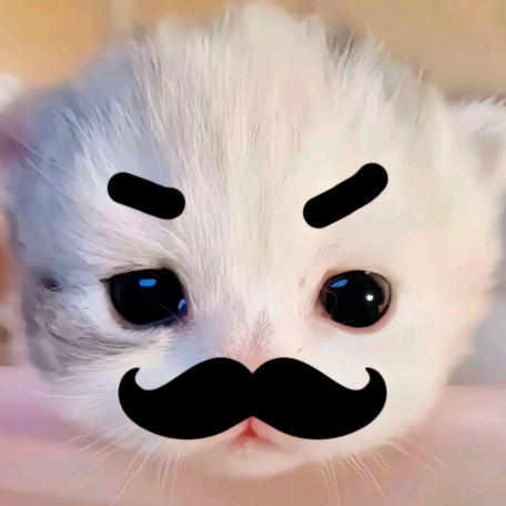 小狗🐾