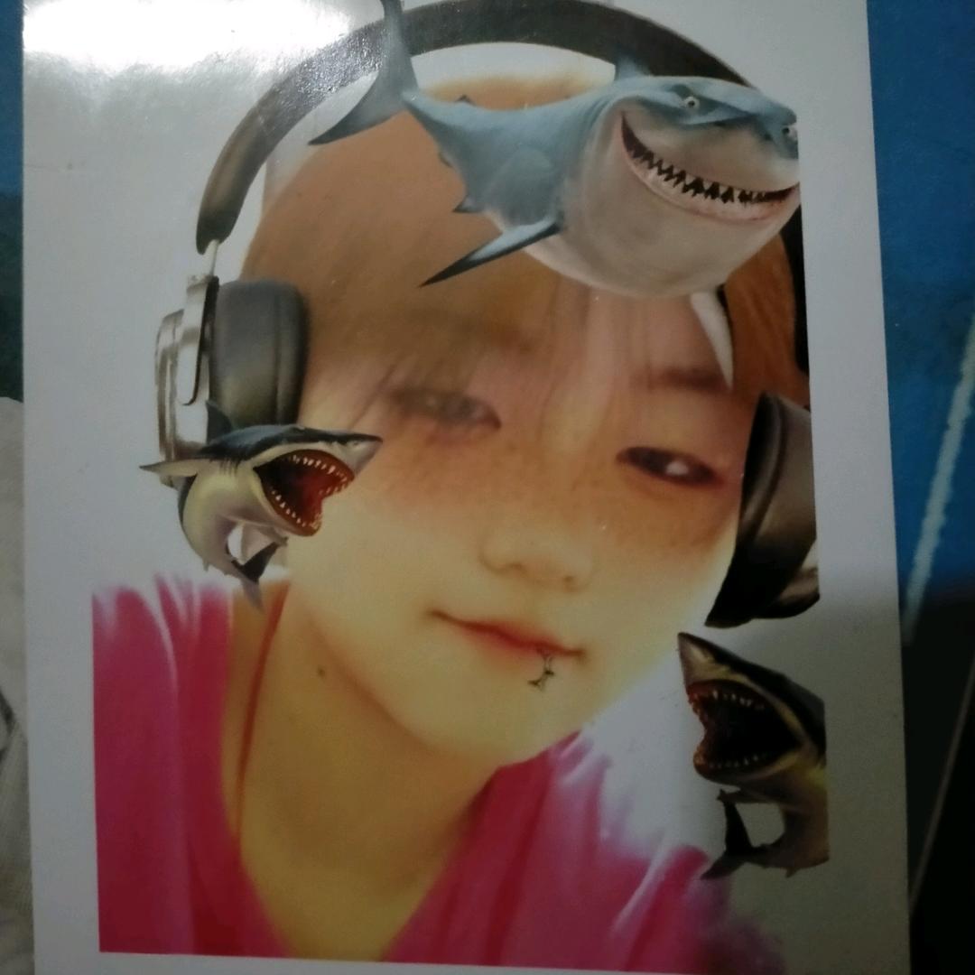 杨素琴