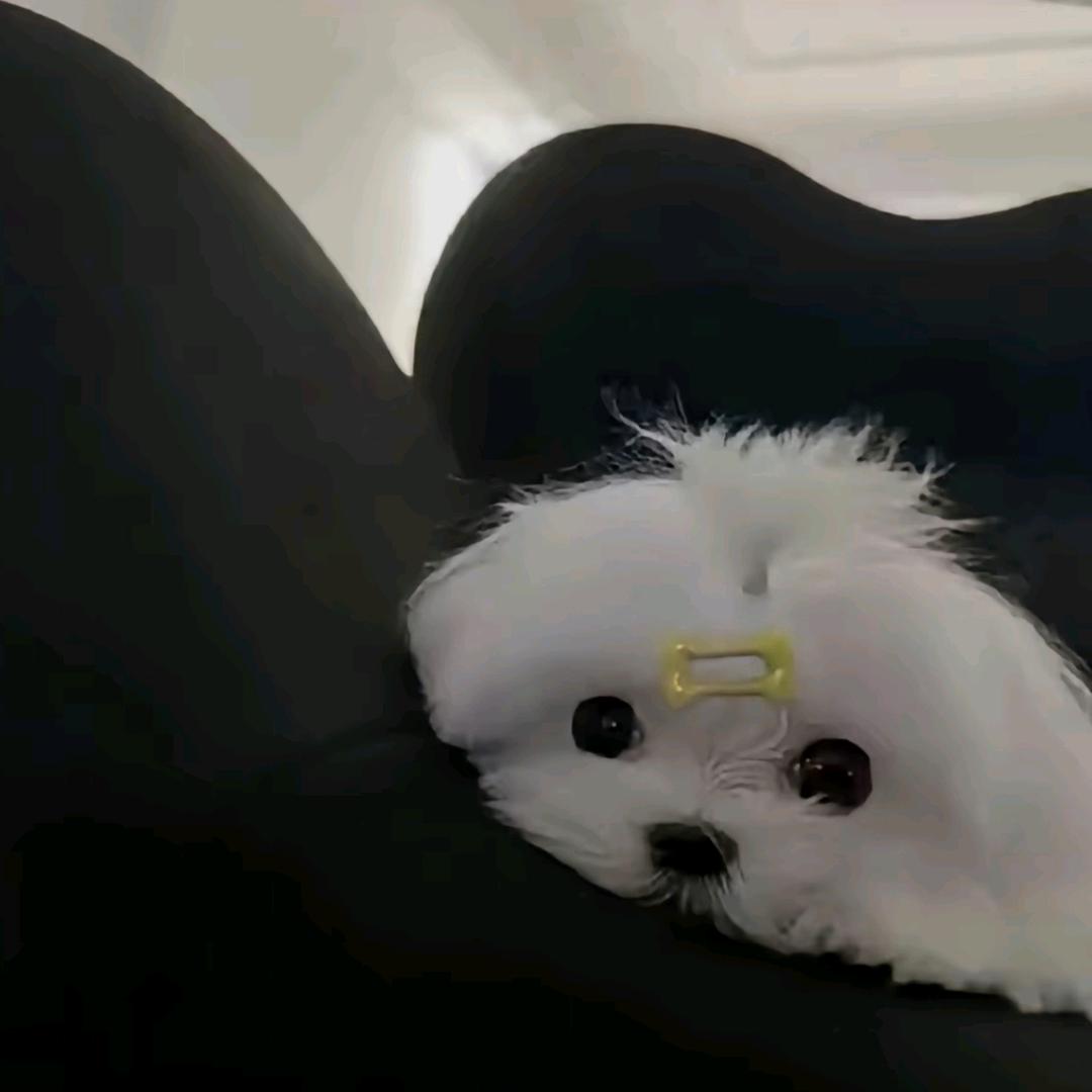 上好不佳^Neo