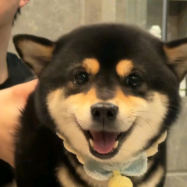 漫漫.