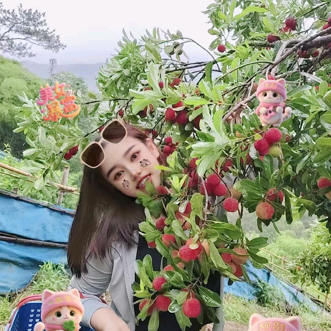 凯婷
