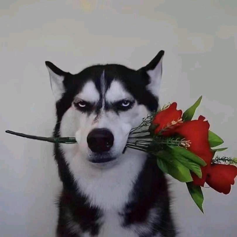 你有什么办法