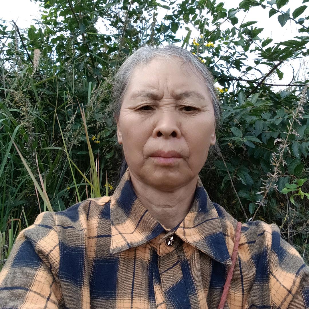 肖姐