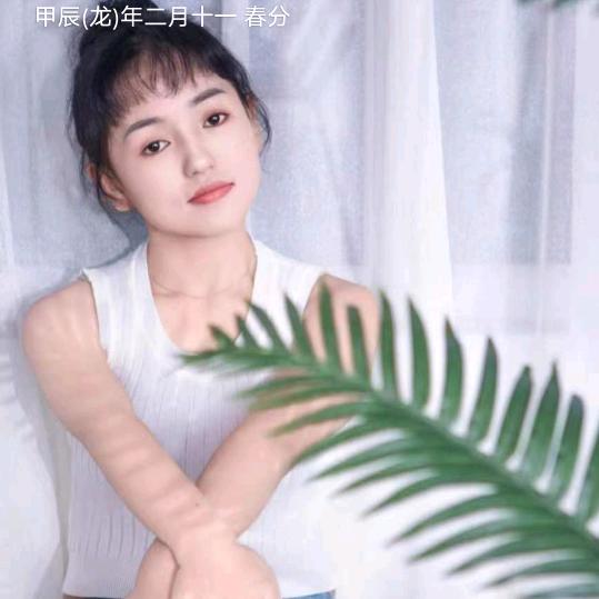 受了伤的燕子