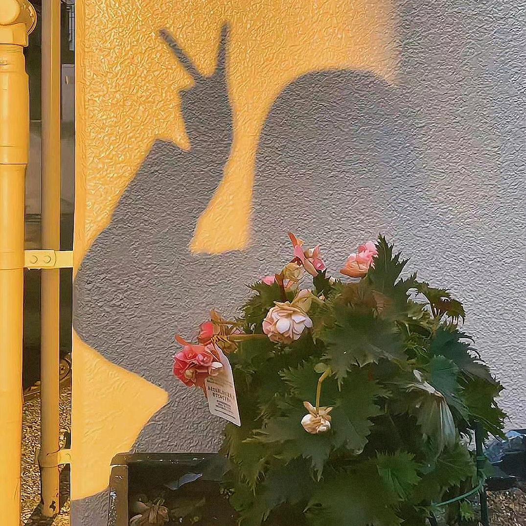甜了个甜