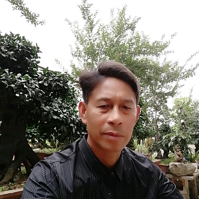 盆景爱好，李