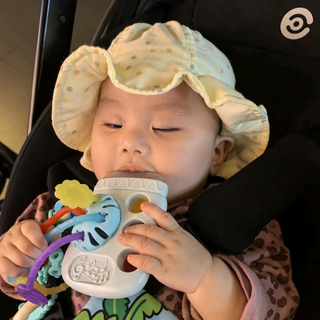 小蚊子爱吃草