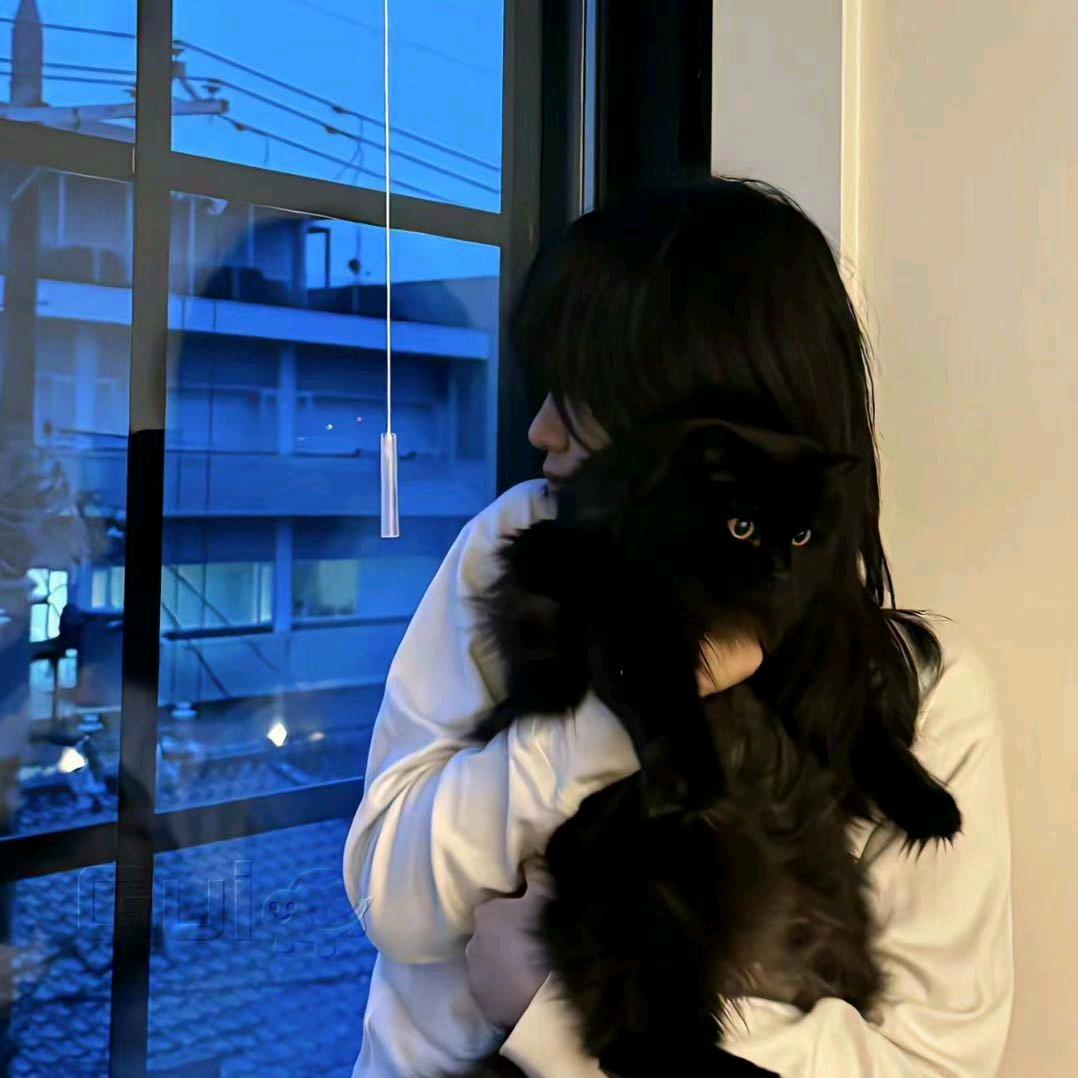 时柒
