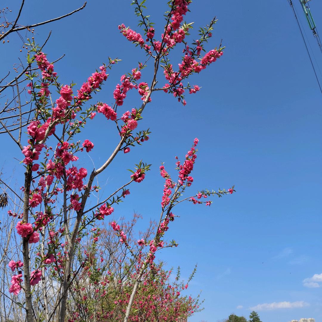 ᰔᩚ 未来❤️可期