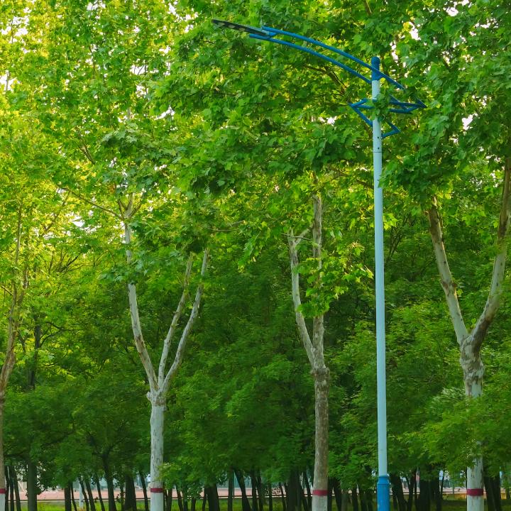 科顿斯韦拉