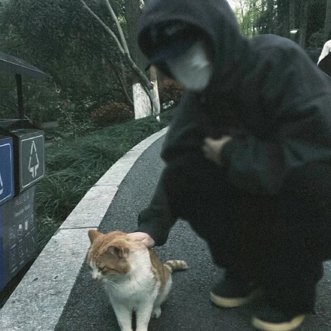 周八养只猫ฅ