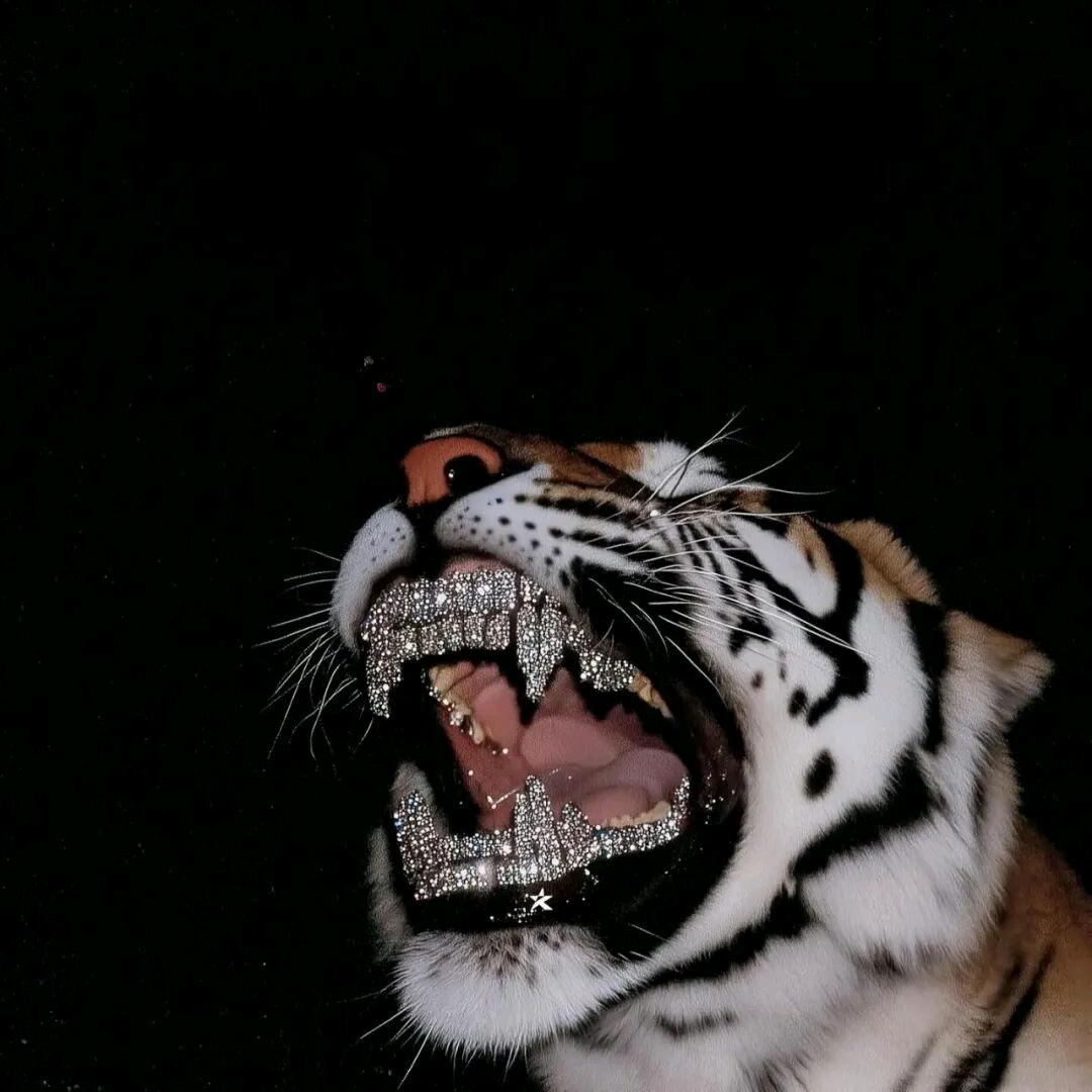 张某𝑳𝒖𝒓𝒆