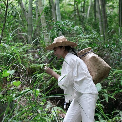 寻茶小叶🌱
